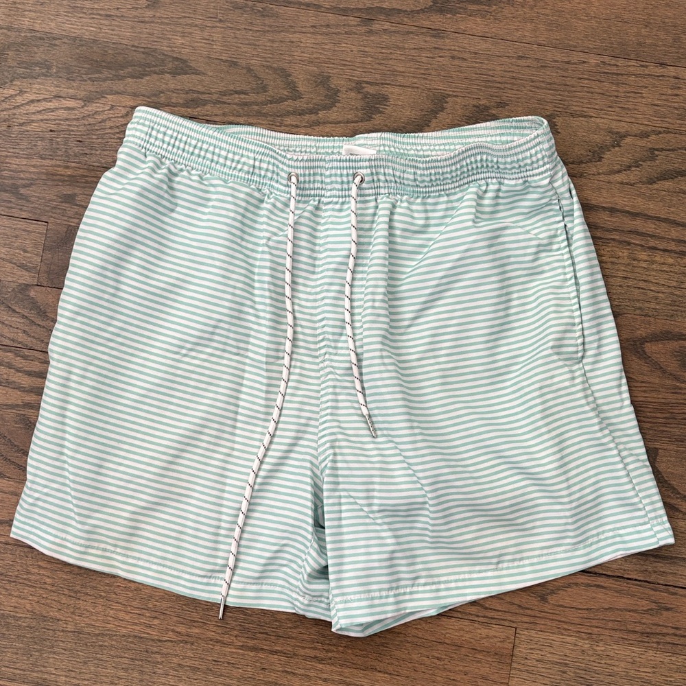 Men's Mint Stripe Swim Trunks